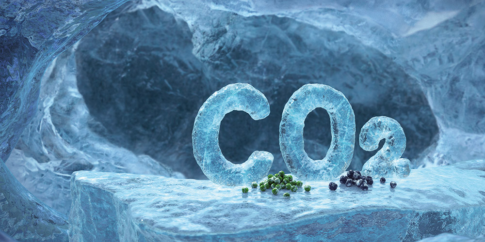 CO2 saldēšana
